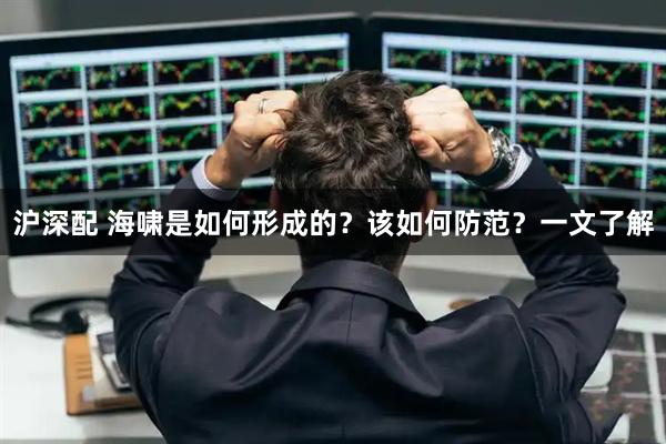 沪深配 海啸是如何形成的？该如何防范？一文了解