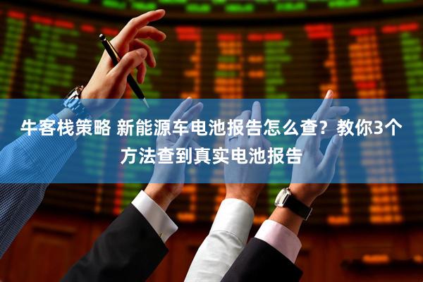 牛客栈策略 新能源车电池报告怎么查？教你3个方法查到真实电池报告